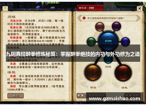 九阴真经醉拳修炼秘笈：掌握醉拳绝技的内功与外功修为之道
