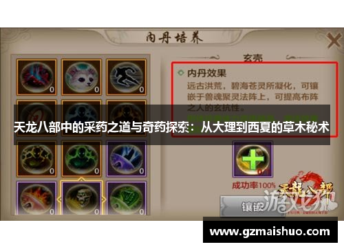 天龙八部中的采药之道与奇药探索：从大理到西夏的草木秘术