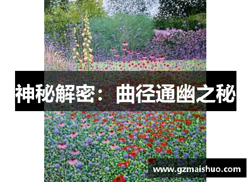 神秘解密：曲径通幽之秘