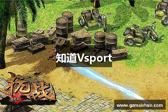 知道Vsport